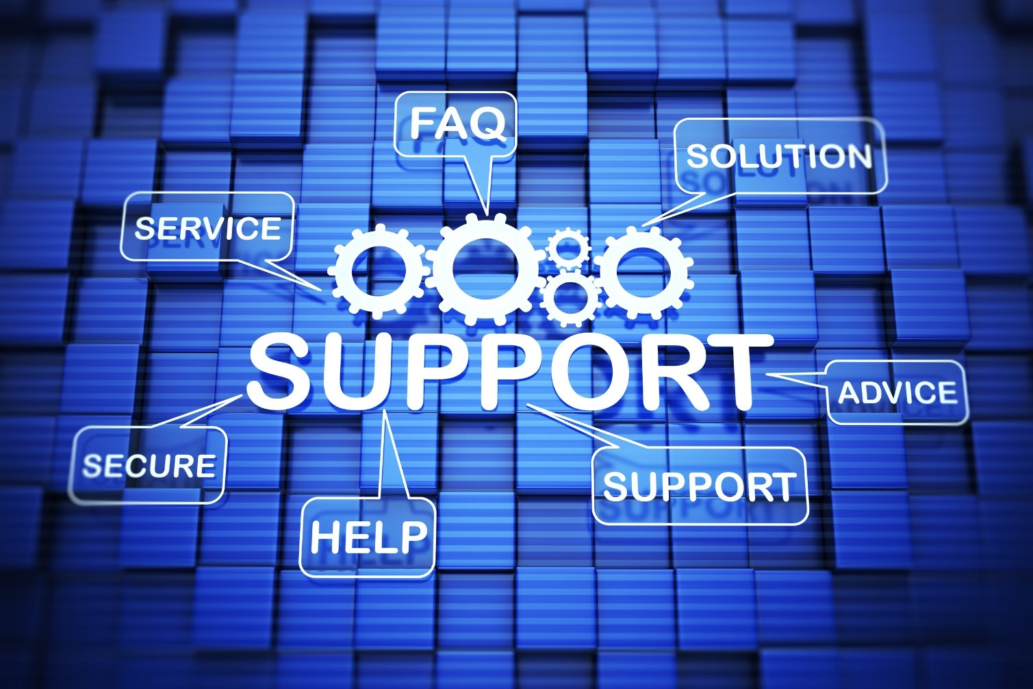School Management Databases