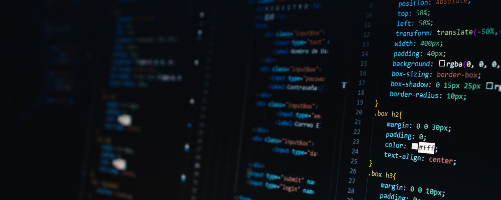Software Development
